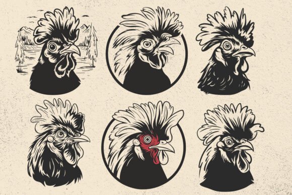 Crazy Chicken Png, Funny Chicken Svg: A Designer’s Real-World Review for Embroidery Projects